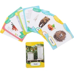 Набор карточек Росмэн-Пресс Кто где живет, кто что ест? 36 шт