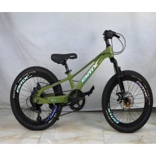 Şəhər velosipedi Velosiped, 20 - BB-889
