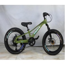 Şəhər velosipedi Velosiped, 20 - BB-889