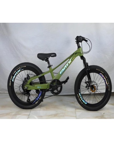 Şəhər velosipedi Velosiped, 20 - BB-889