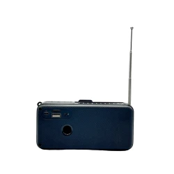 Portativ dinamik 030