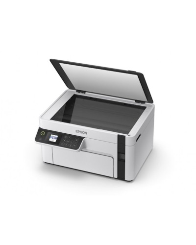 ÇFQ Epson M2110 (C11CJ19401)