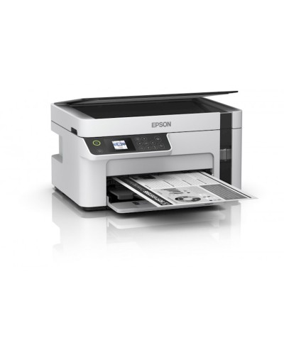 ÇFQ Epson M2110 (C11CJ19401)