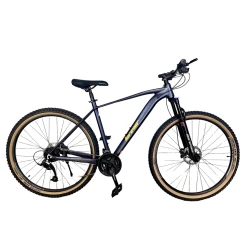 Велосипед Model LF29 Silver Велосипед Model LF29 Silver