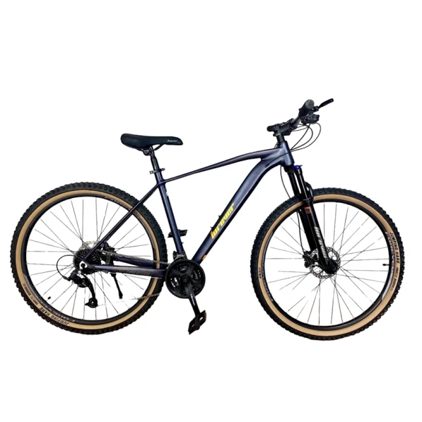 Velosiped Model LF29 Silver Velosiped Model LF29 Silver