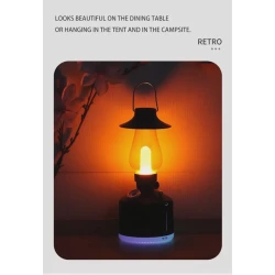 Lampa-hava nəmləndiricisi Mrg_043