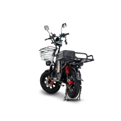 Elektrikli moped Disiyuan Damai ADOF002