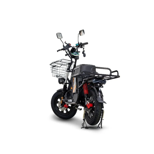 Электрический мопед Disiyuan Damai ADOF002 Электрический мопед Disiyuan Damai ADOF002