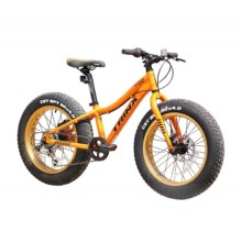 Uşaq velosipedi Trinx T100, narıncı