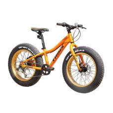 Uşaq velosipedi Trinx T100, narıncı