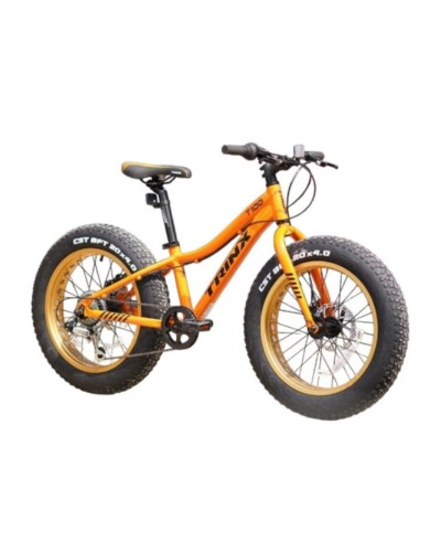 Uşaq velosipedi Trinx T100, narıncı