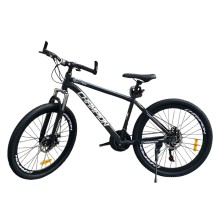 Uşaq velosipedi Champion 24, yaşıl