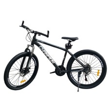 Uşaq velosipedi Champion 24, yaşıl
