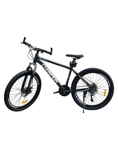 Uşaq velosipedi Champion 24, yaşıl