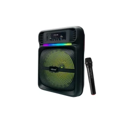 Portativ dinamik KBroad KTS-2168