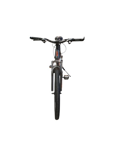 Dağ velosipedi Adidas, 26