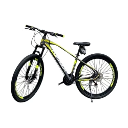 Velosiped Formula 29