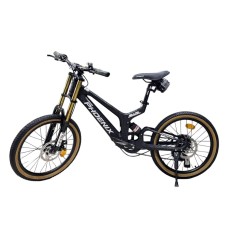 Velosiped Phoenix, qara