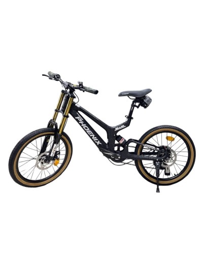 Velosiped Phoenix, qara