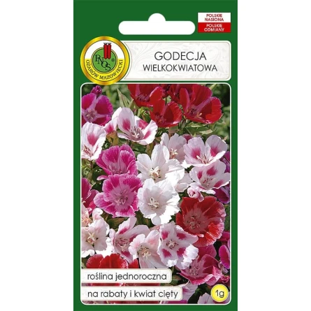 Çiçək toxumları PNOS Godecja Wielkokwiatowa, 1 q Çiçək toxumları PNOS Godecja Wielkokwiatowa, 1 q