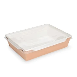 Одноразовые контейнеры для салата Loyal-4067484108, 100 шт, коричневые Одноразовые контейнеры для салата Loyal-4067484108, 100 шт, коричневые