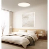 Умное освещение Xiaomi Smart Ceiling Light D30 Умное освещение Xiaomi Smart Ceiling Light D30