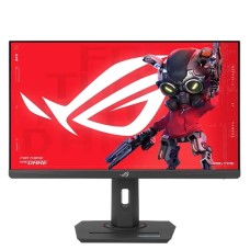 Monitor 24.5