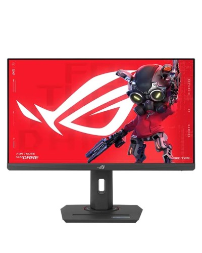 Monitor 24.5