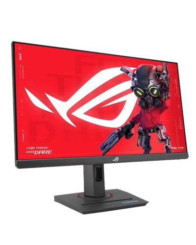 Monitor 24.5