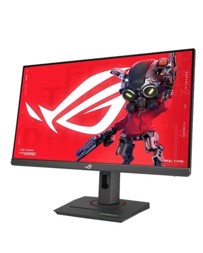 Monitor 24.5