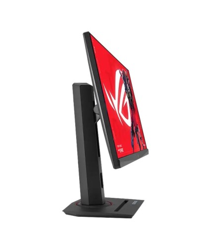 Monitor 24.5