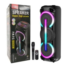 Portativ dinamik SING-E ZQS8313