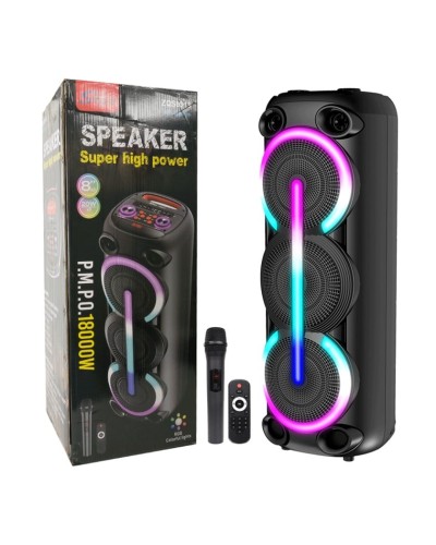 Portativ dinamik SING-E ZQS8313