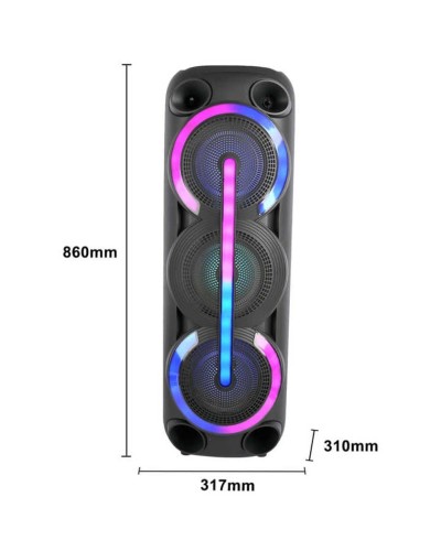 Portativ dinamik SING-E ZQS8313
