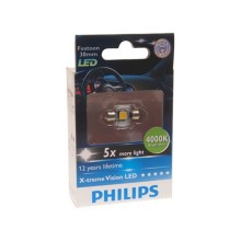 Avtomobil üçün lampa Philips C5W (SV8.5/8) LED 4000K 12V