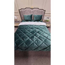 Одеяло ZZ-ZZ-0025, 155x255 см, полутораспальное, всесезонное, велюр, зеленое Одеяло ZZ-ZZ-0025, 155x255 см, полутораспальное, всесезонное, велюр, зеленое