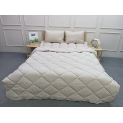 Комплект 045, одеяло 155x215 см, матрас 100x200 см, подушка 50x70 см, бамбуковый синтепон Комплект 045, одеяло 155x215 см, матрас 100x200 см, подушка 50x70 см, бамбуковый синтепон