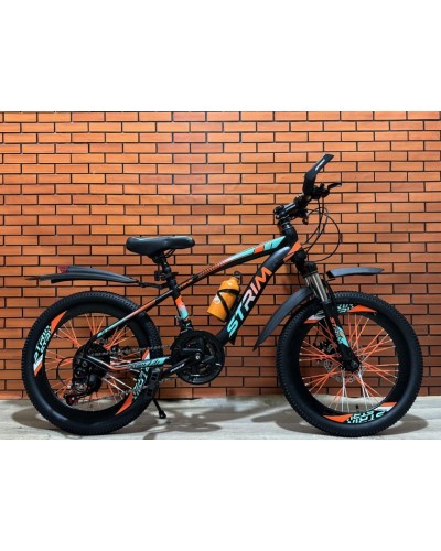 Dağ velosipedi Strim MTB20, 20