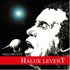 Виниловая пластинка Haluk Levent - Akşam Üstü
