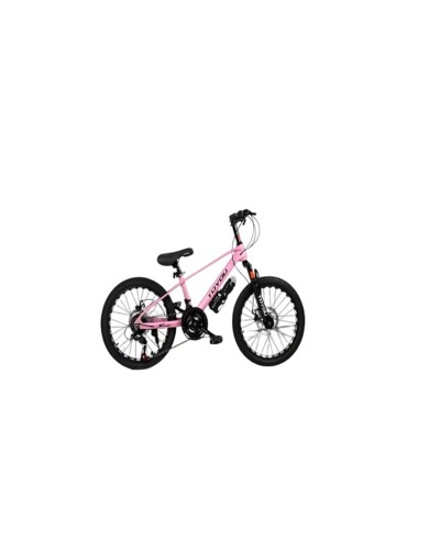 Velosiped Toyou ML 20