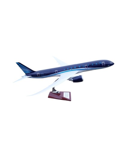 Təyyarə modeli Aircraft Model, Azərbaycan Hava Yolları Böyük Teyyarə Azal Boeing 787 modeli 62x60x27 sm