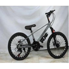 Velosiped Çin, 20