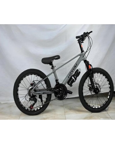 Velosiped Çin, 20