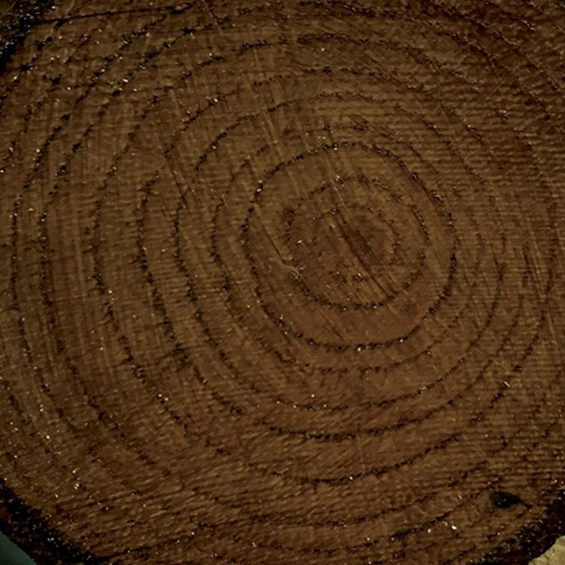 Цветной лак Cadence Colour On Colored Varnish CV-15 Dark Brown, 90 мл