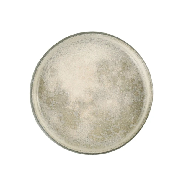 Тарелка Porland Stoneware 04SWA000006, керамогранит, бежевая, 27 см Тарелка Porland Stoneware 04SWA000006, керамогранит, бежевая, 27 см