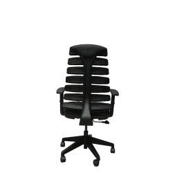 Ofis üçün kreslo Casella SP 25 Crepe 01, 118х50 sm, qara