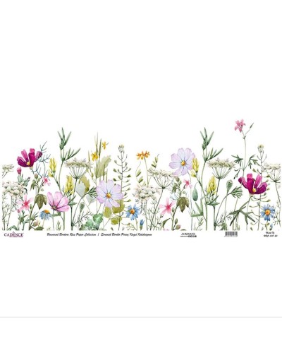 Dekupaj üçün düyü kağızı Cadence Universal Bordure 30x68, UBC-008-30