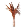 Qurudulmuş çiçəklər Clayre & Eef, 80 sm, narıncı