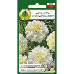 Семена цветов PNOS Aksamıtka Wielkokwiatowa Albatros, 0.5 г