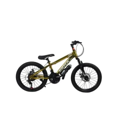 Velosiped GTR119_20 Gold